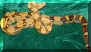 DH SqTaAlb M 12-22-06 Pic 12.jpg (210085 bytes)