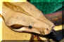 DH SqTaAlb M 12-22-06 Pic 22.jpg (137490 bytes)